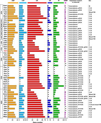 Transcriptome Analysis and Characterization of Chemosensory Genes in the Forest Pest, Dioryctria abietella (Lepidoptera: Pyralidae)